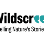 Website-News-Images-9