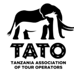 tato-vector-new-1-1024x669