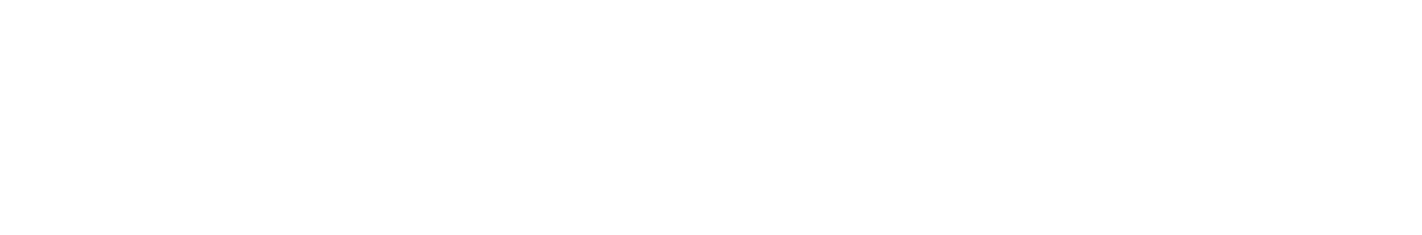 WebDock Studios logo